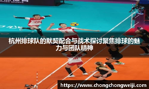 杭州排球队的默契配合与战术探讨聚焦排球的魅力与团队精神